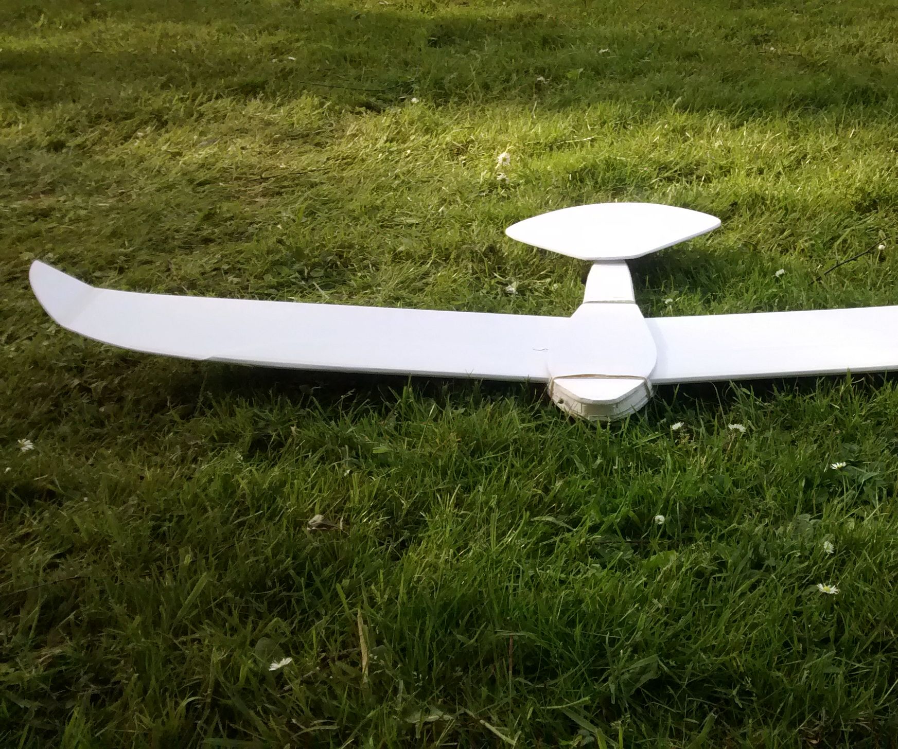 Eagle-like glider by Mathieu Baesen
