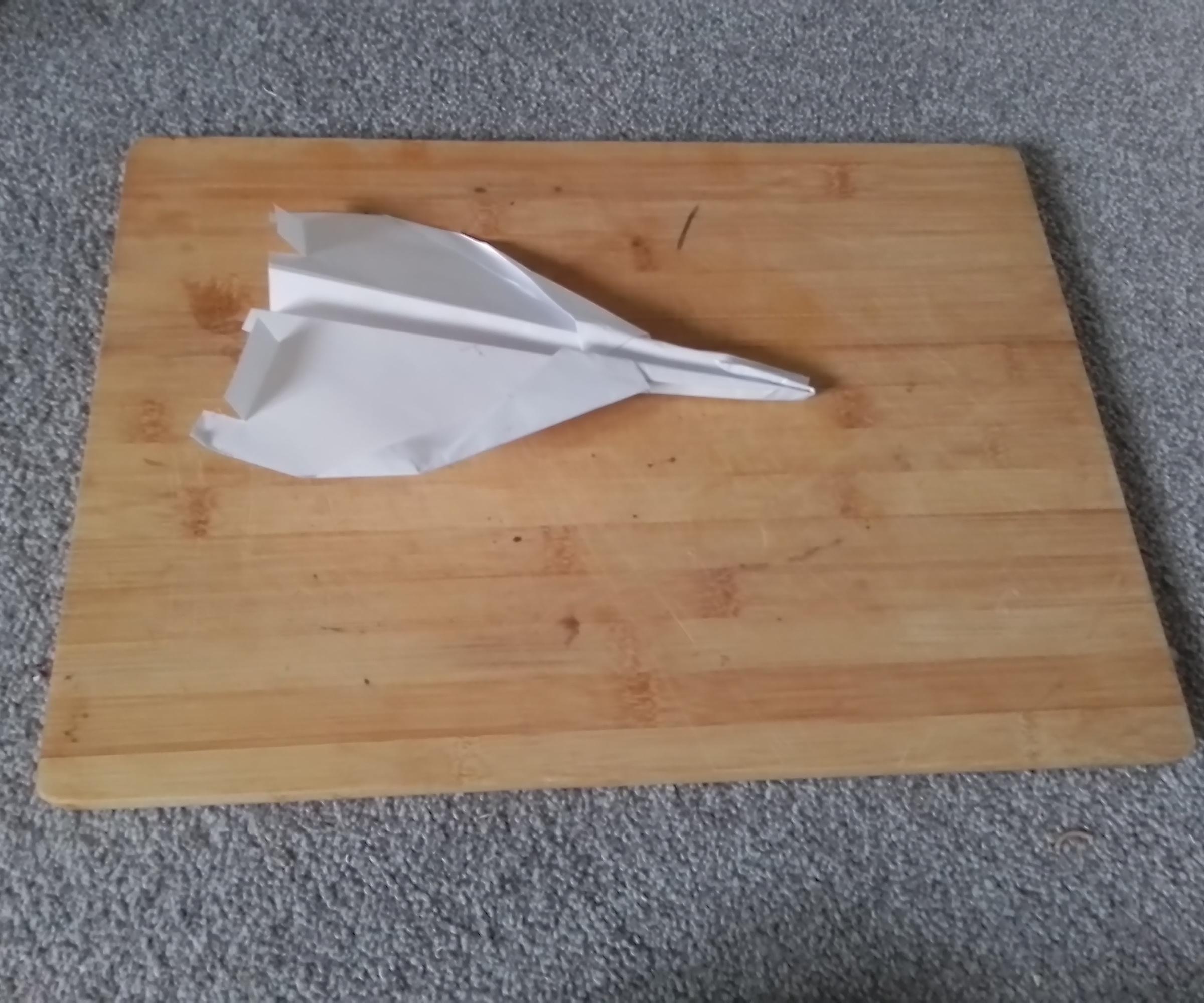 Paper Plane