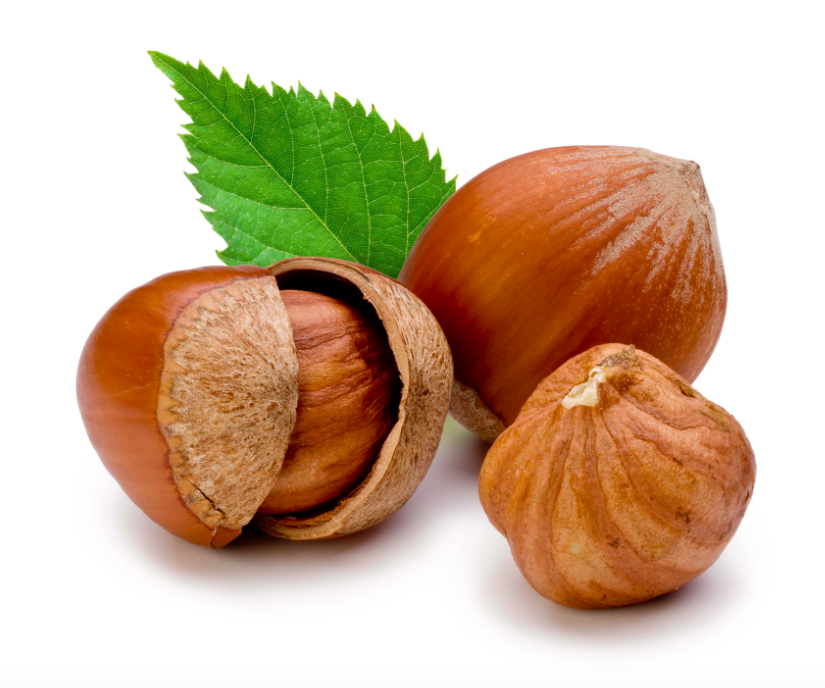 Shrubs to Hazelnuts