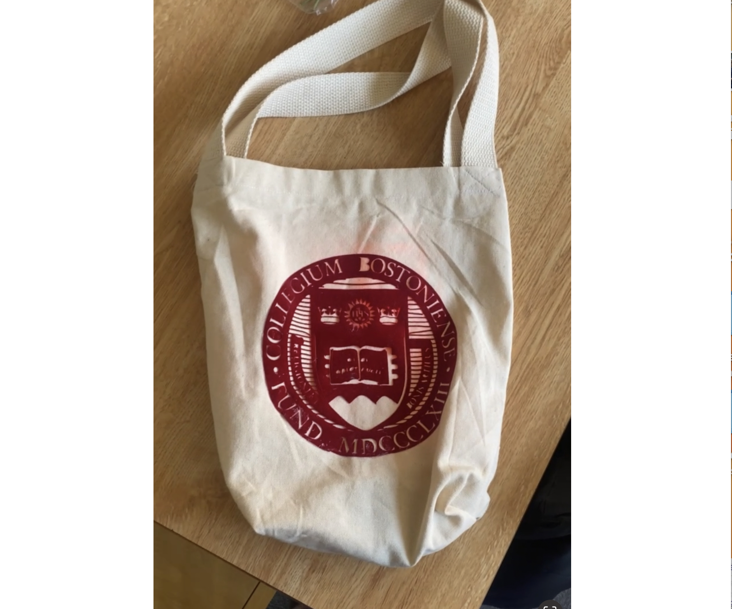 Bluetooth Totebag With Led Lights