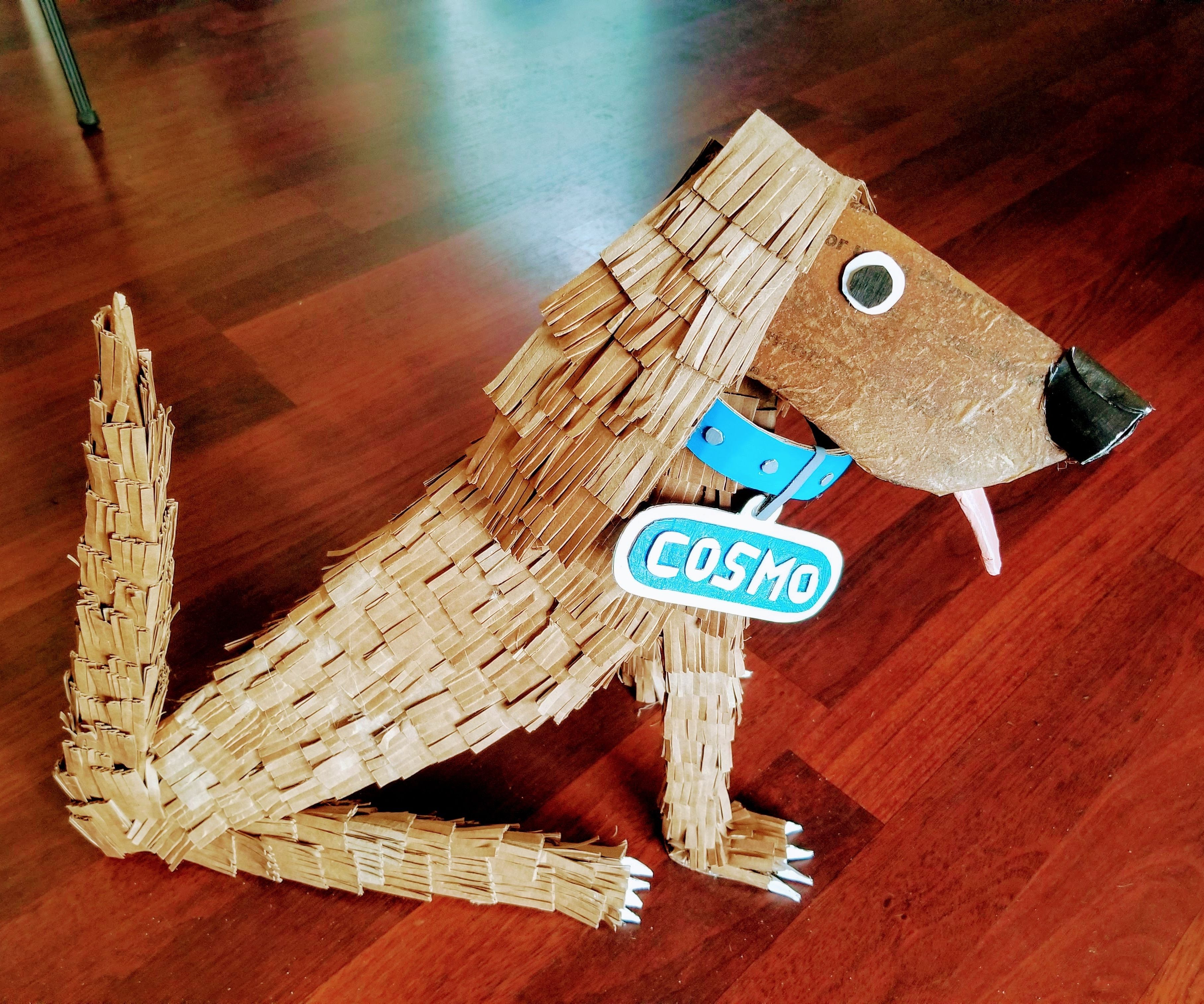 Cardboard Cosmo