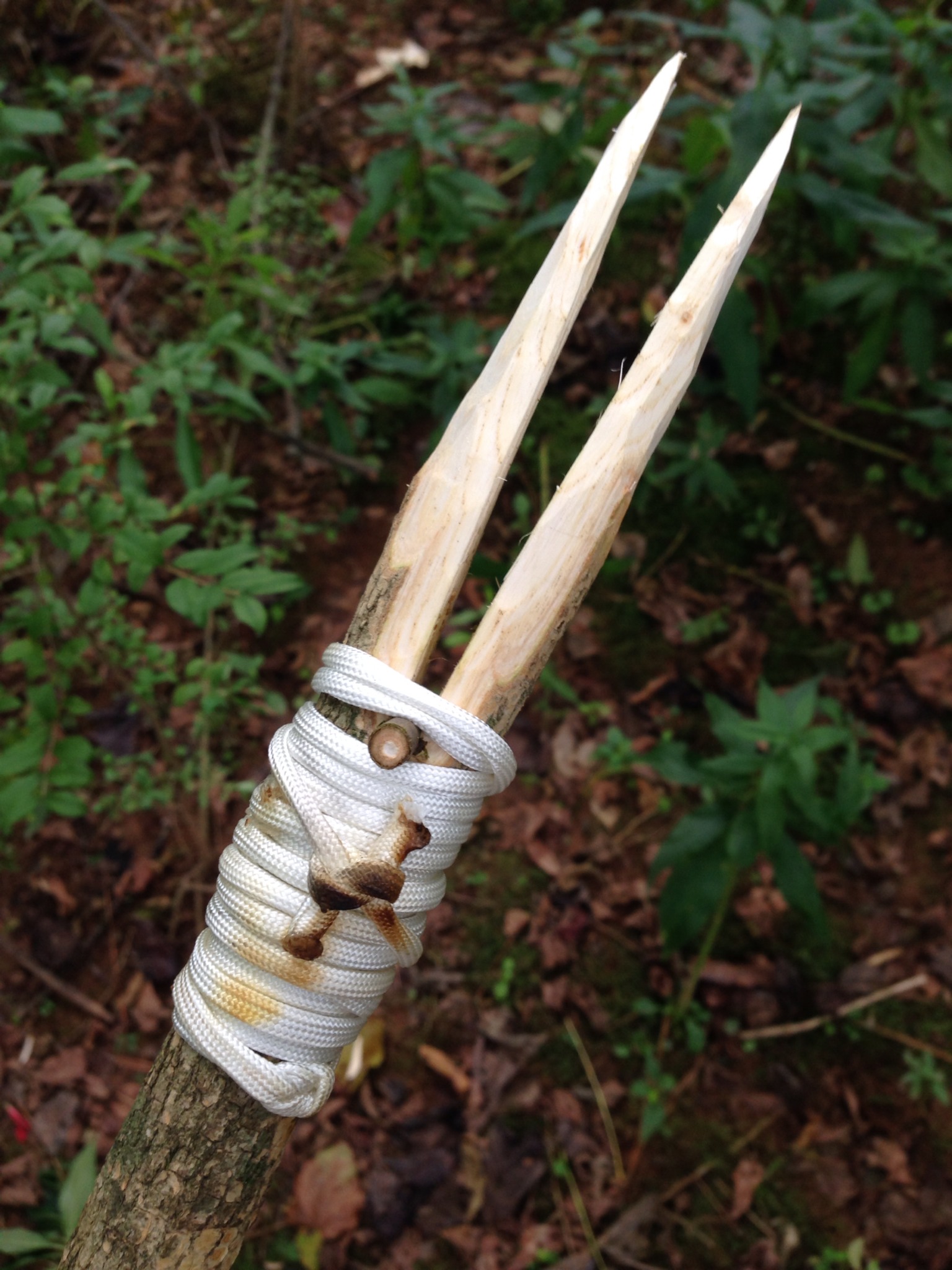 Two-Pronged Hunting Spear