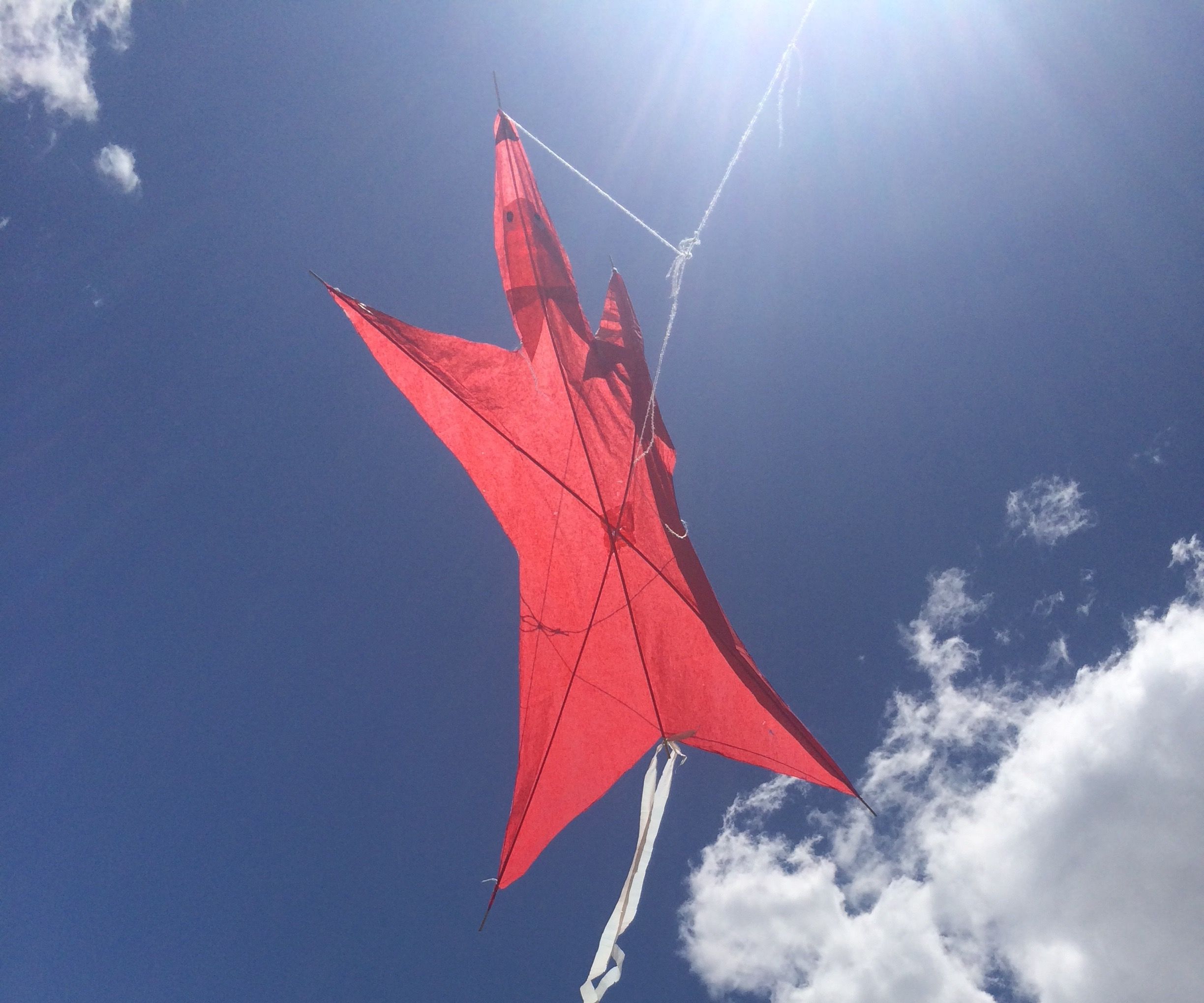 EDO FOX KITE