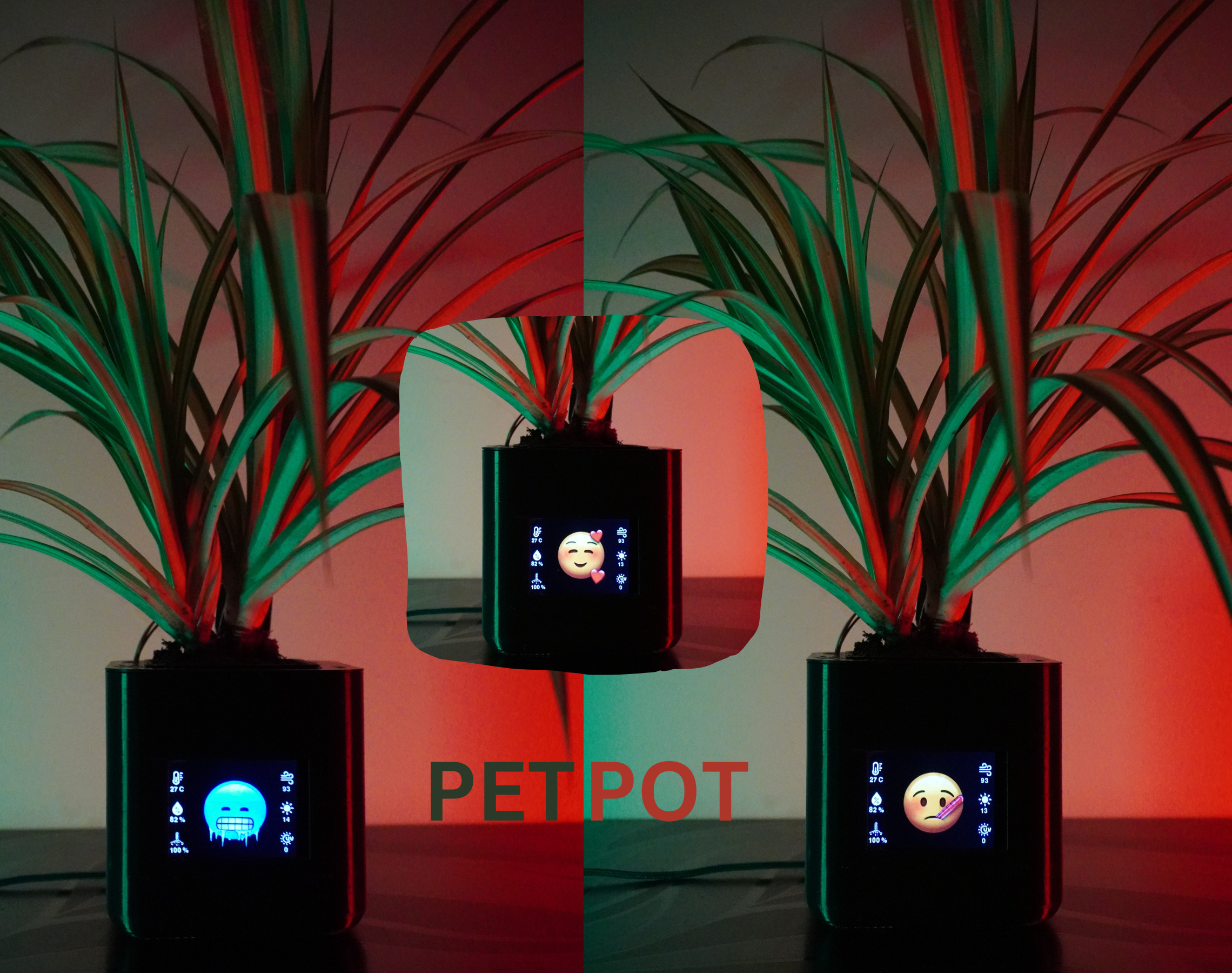 Pet Pot