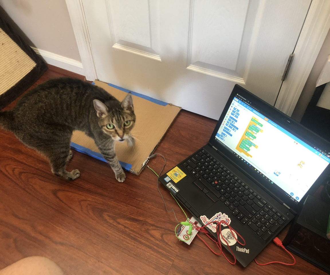 Cat Audio Pressure Plate W/ Makey Makey