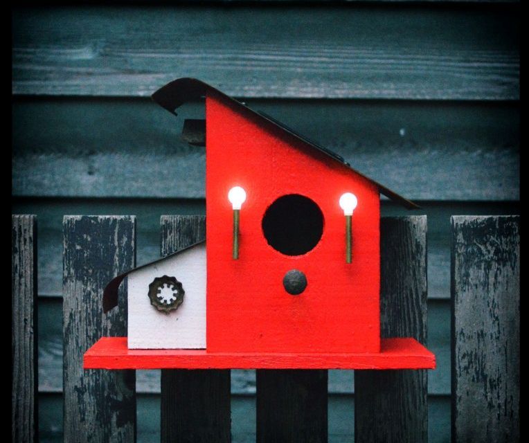 Bird House With Night Lights