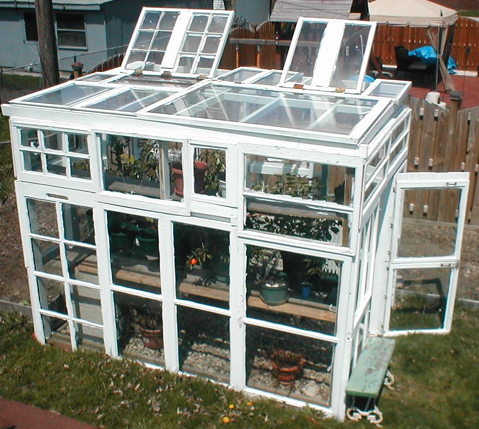 Greenhouse From Old Windows