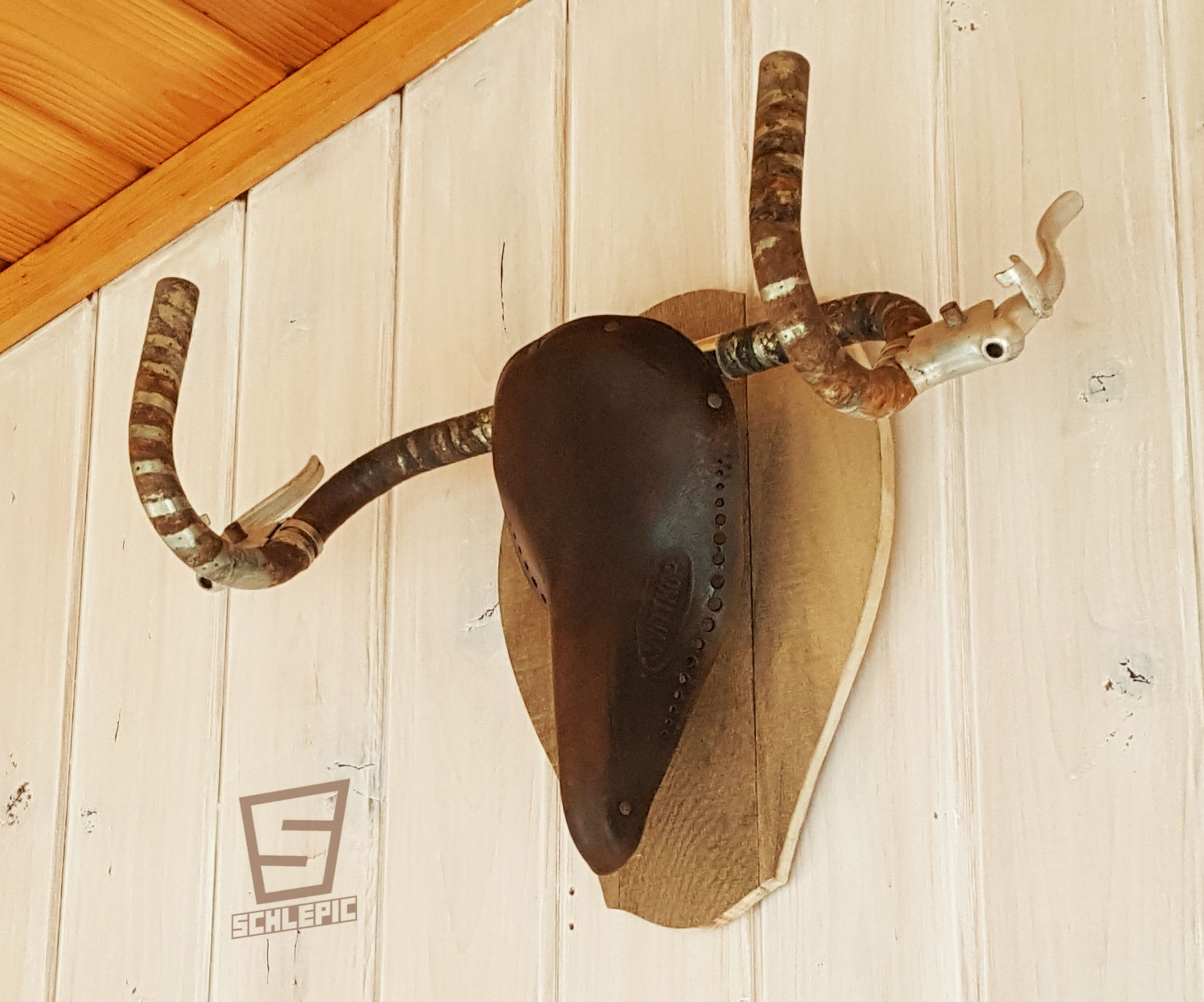 Bicycle Themed Deer Antler Mount