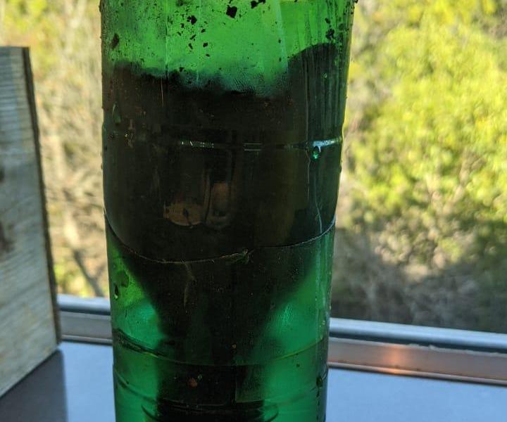 Self Watering Pot