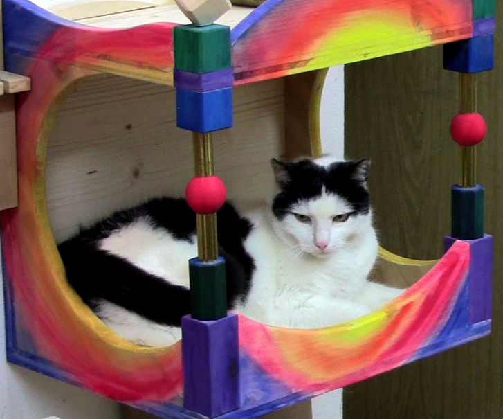 Cat House