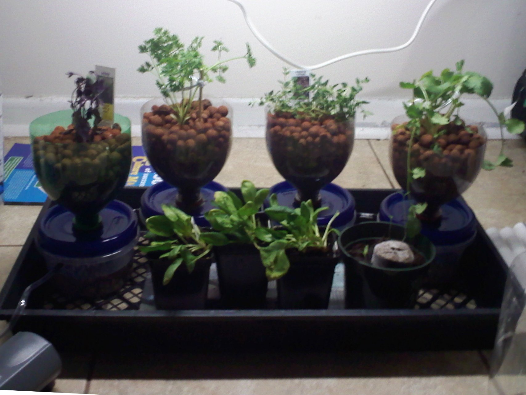 Compact, Cheap, and Expandable Hydroponics System