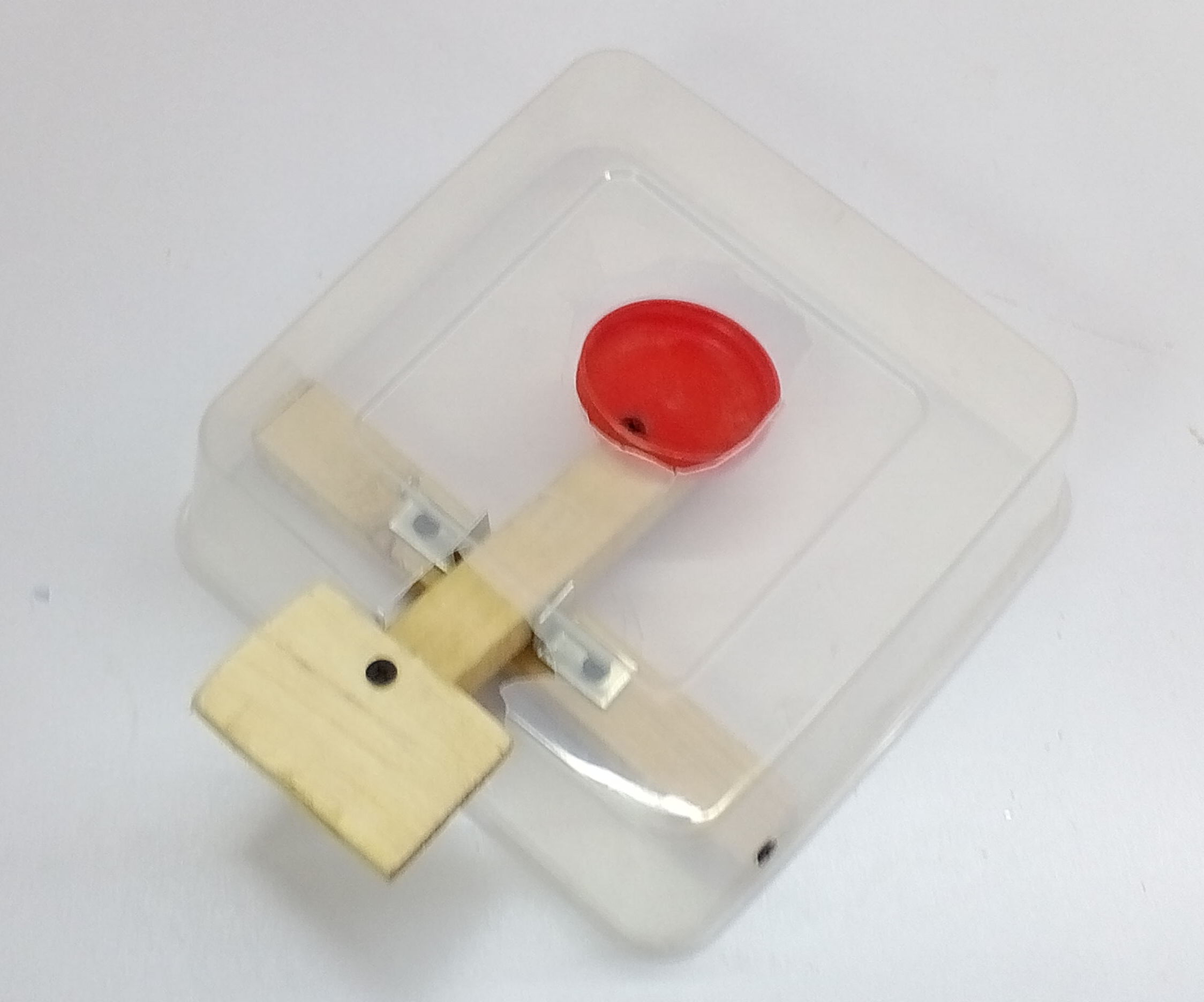 Cat Treat Push Feeder 
