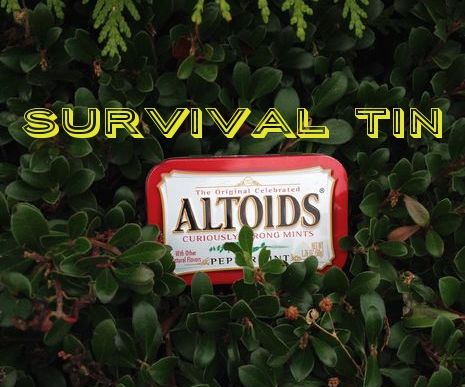 Survival in a Box