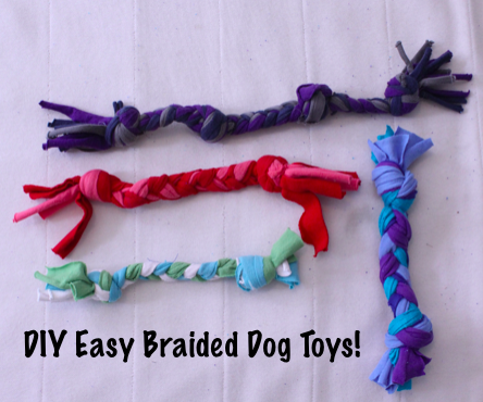 Easy Recycled Braided Dog Toys