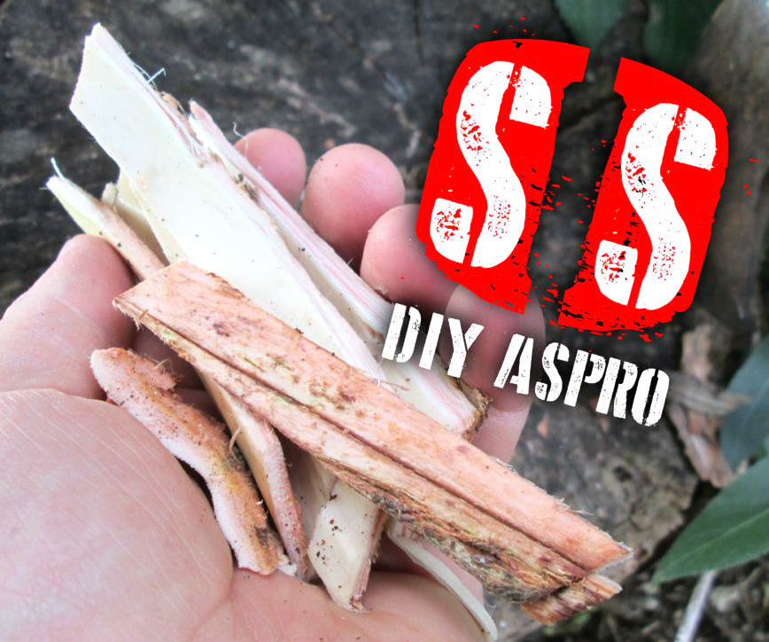 Survive in style (5) - DIY Aspirin