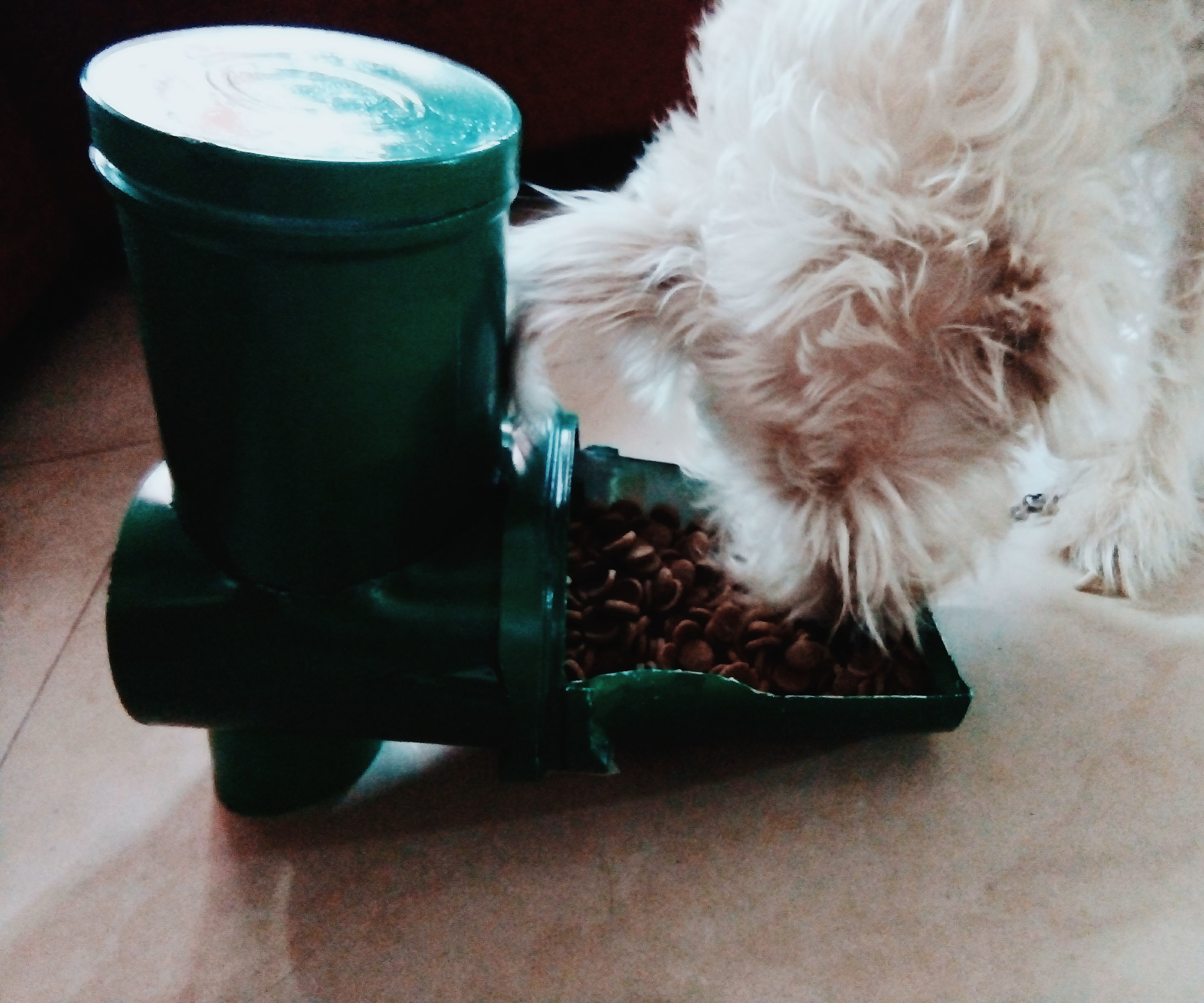 DIY Dog Food Dispenser