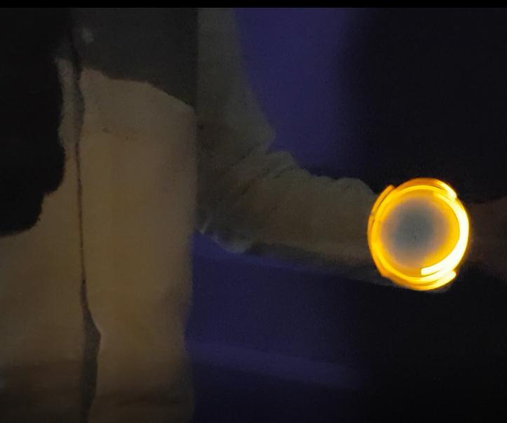 Led Wing~ Wing!