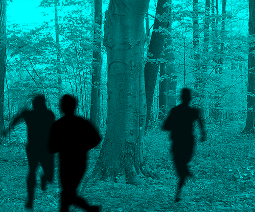 Hide From Pursuers