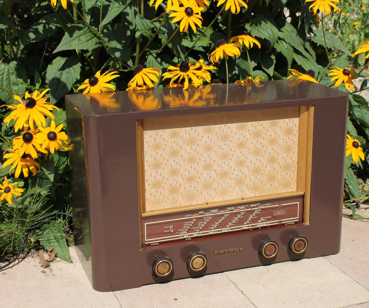 Old Radio Transformation