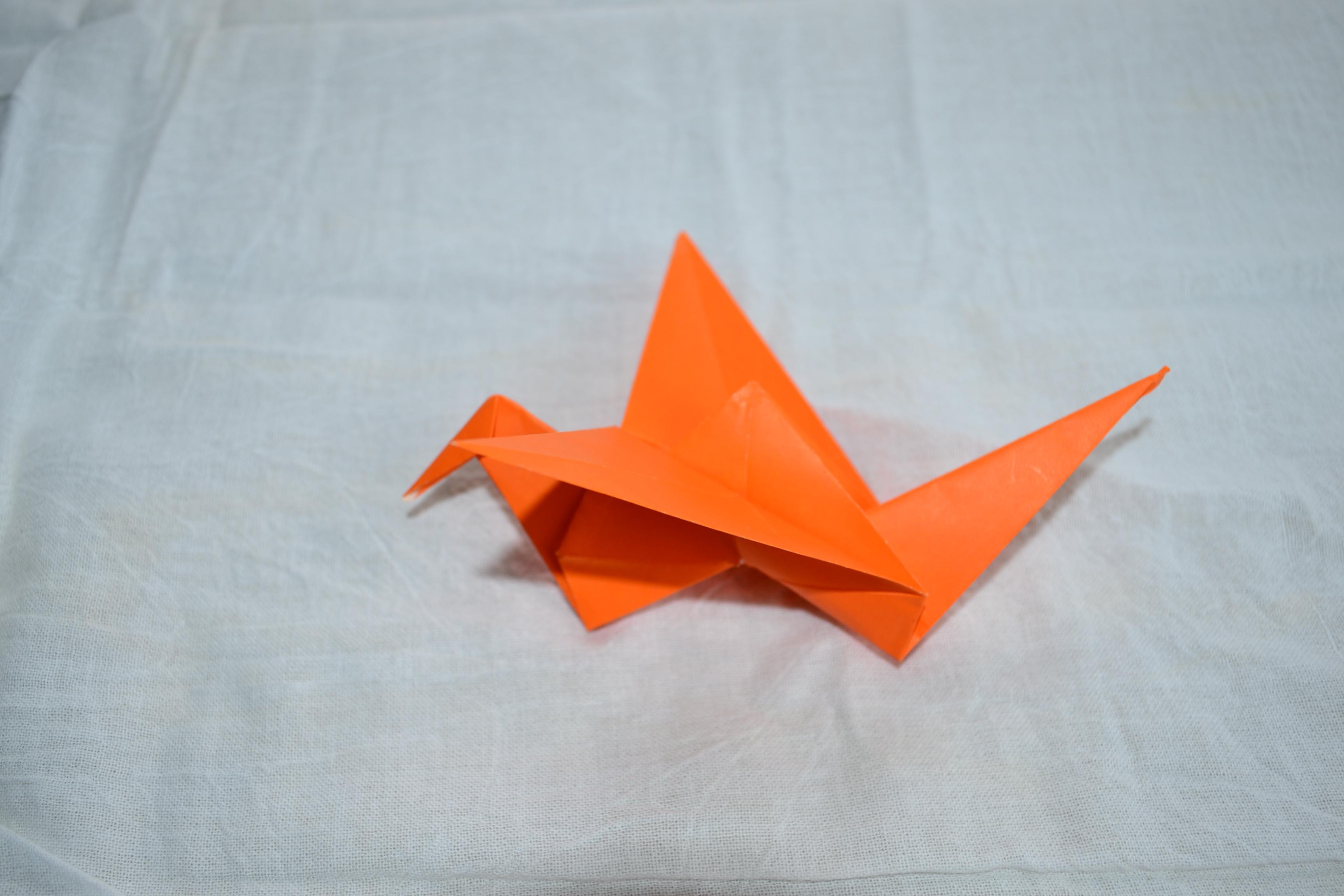 Flying Crain