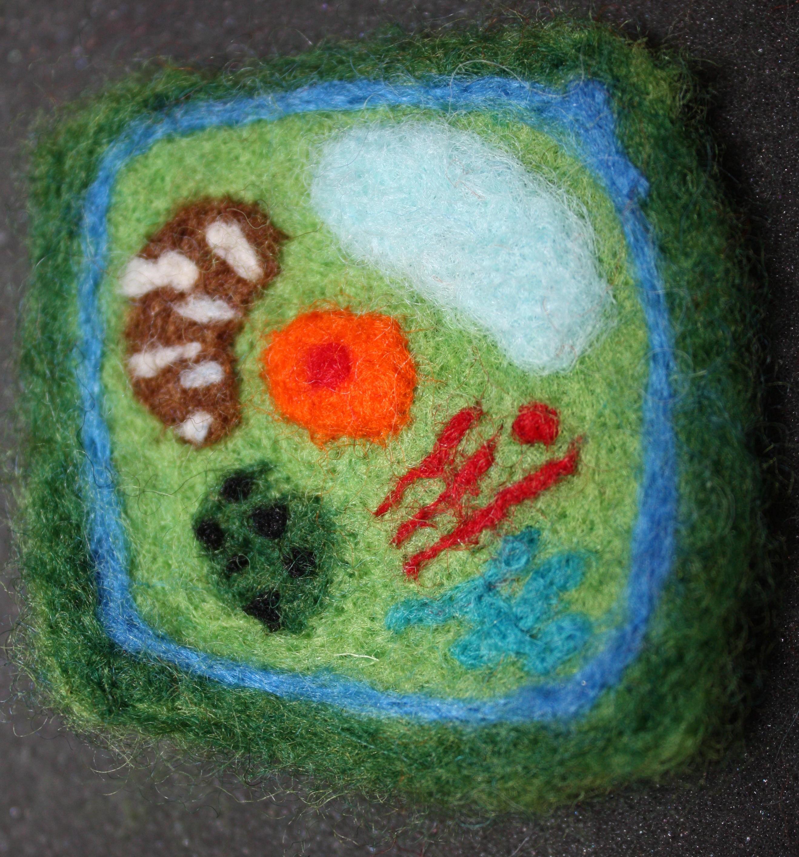 Needle Felted Plant Cell
