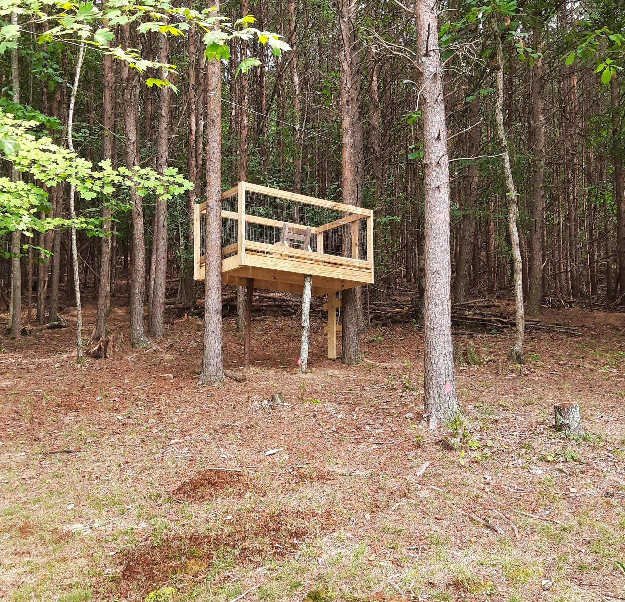 Tree Fort Stage 1