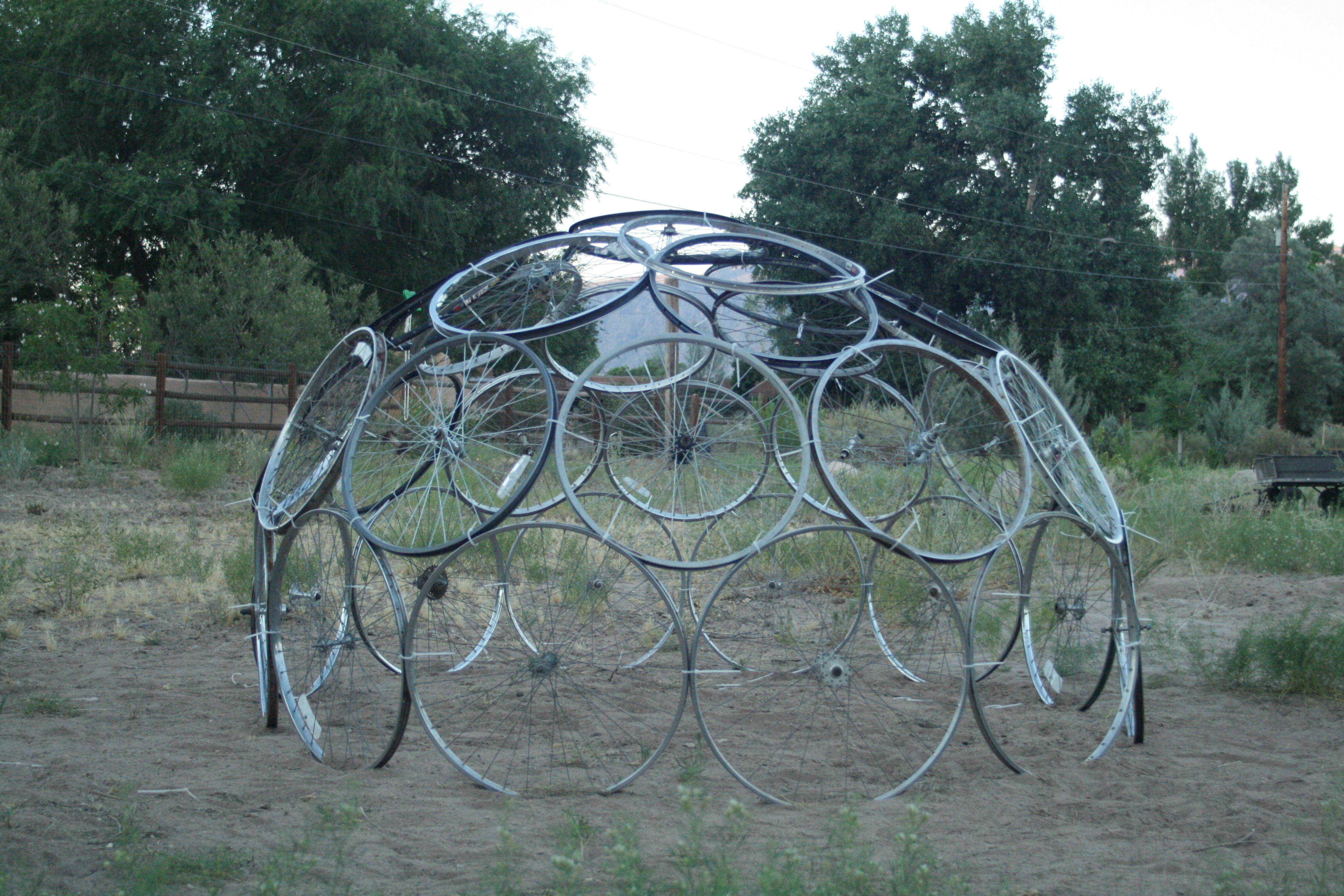 Bicycle Tire Dome