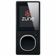 Stealthy zune case