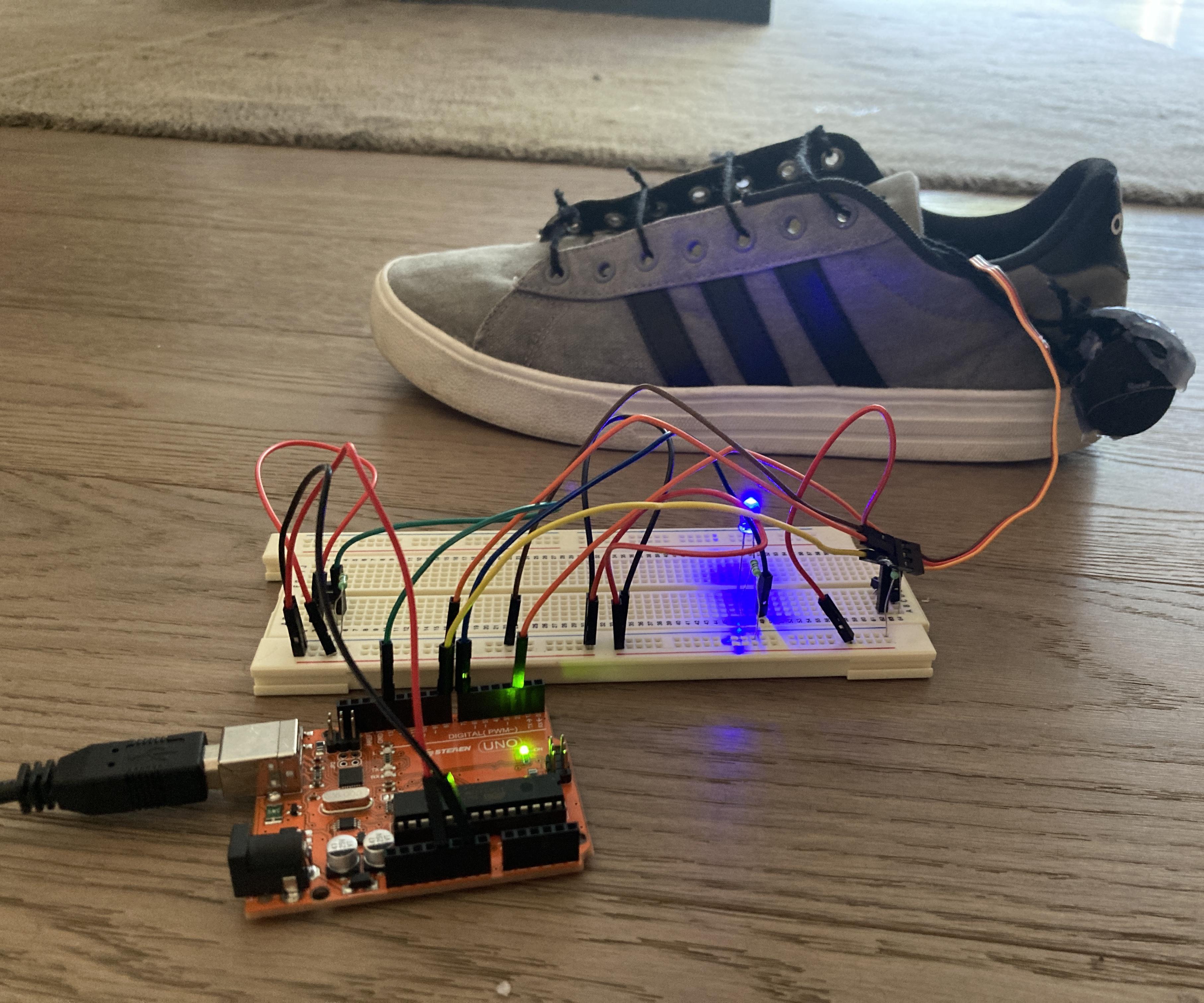 Self Lacing Shoes