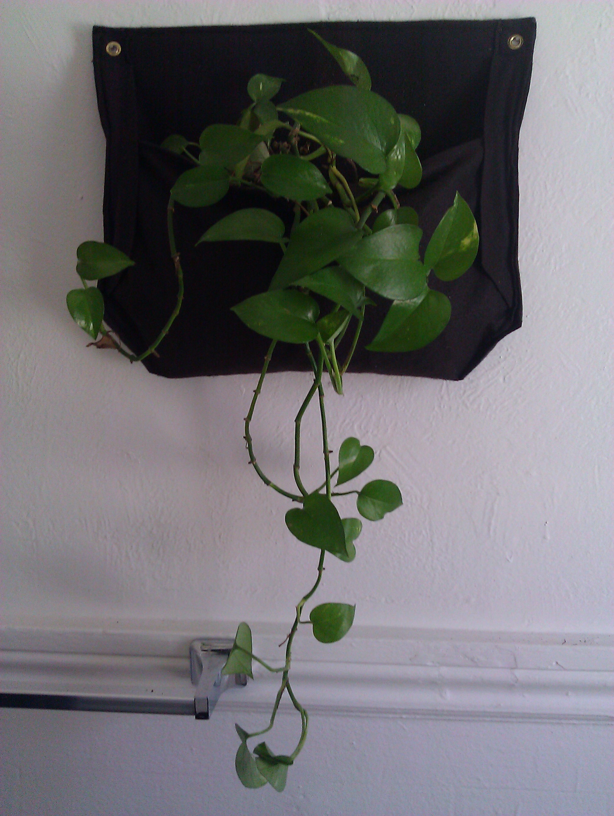 Hanging Plant Pocket