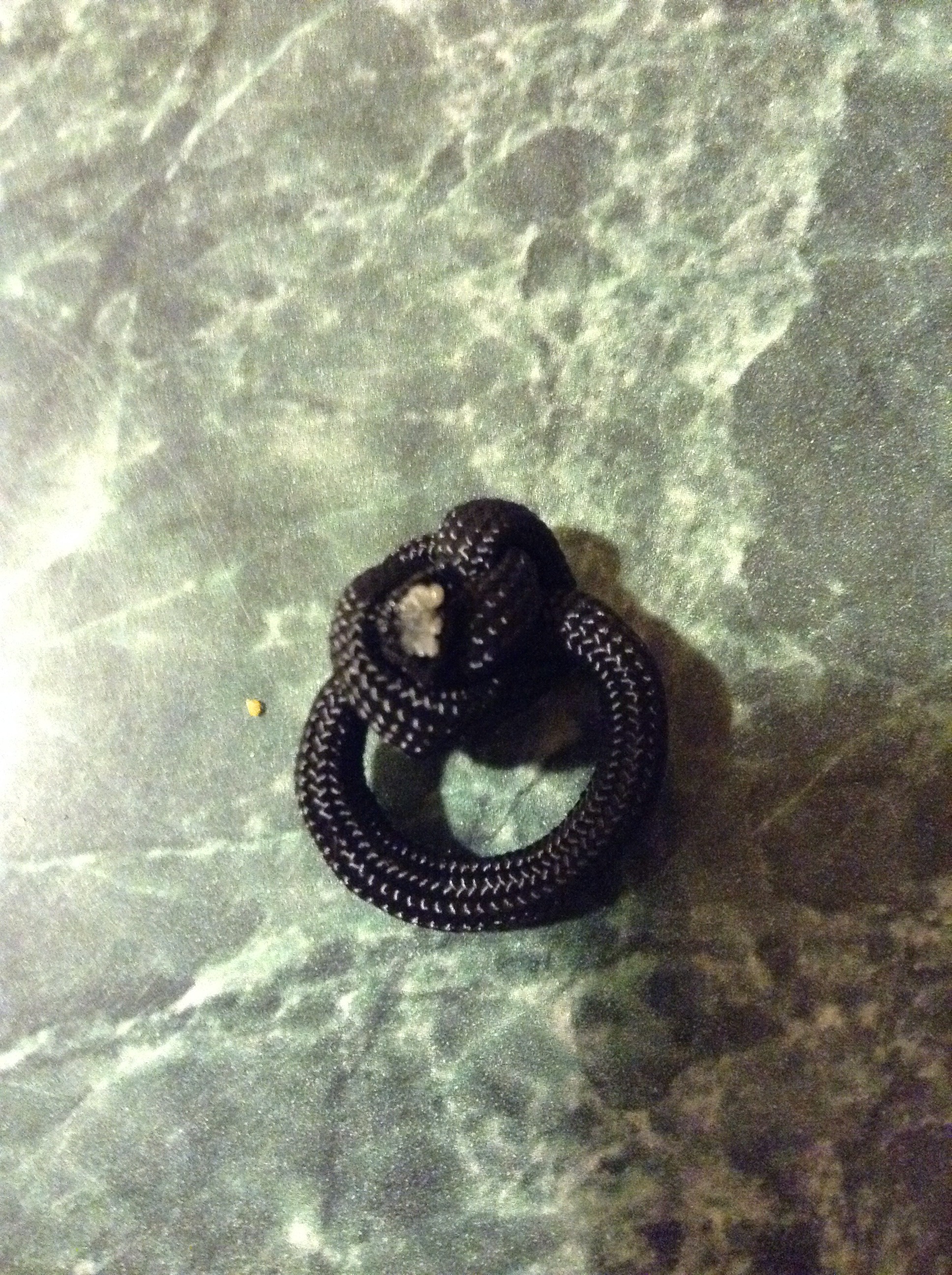Paracord Ring