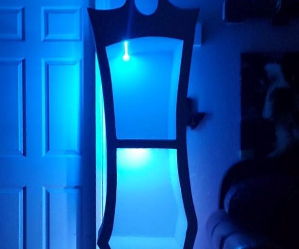 Curvy Book Case