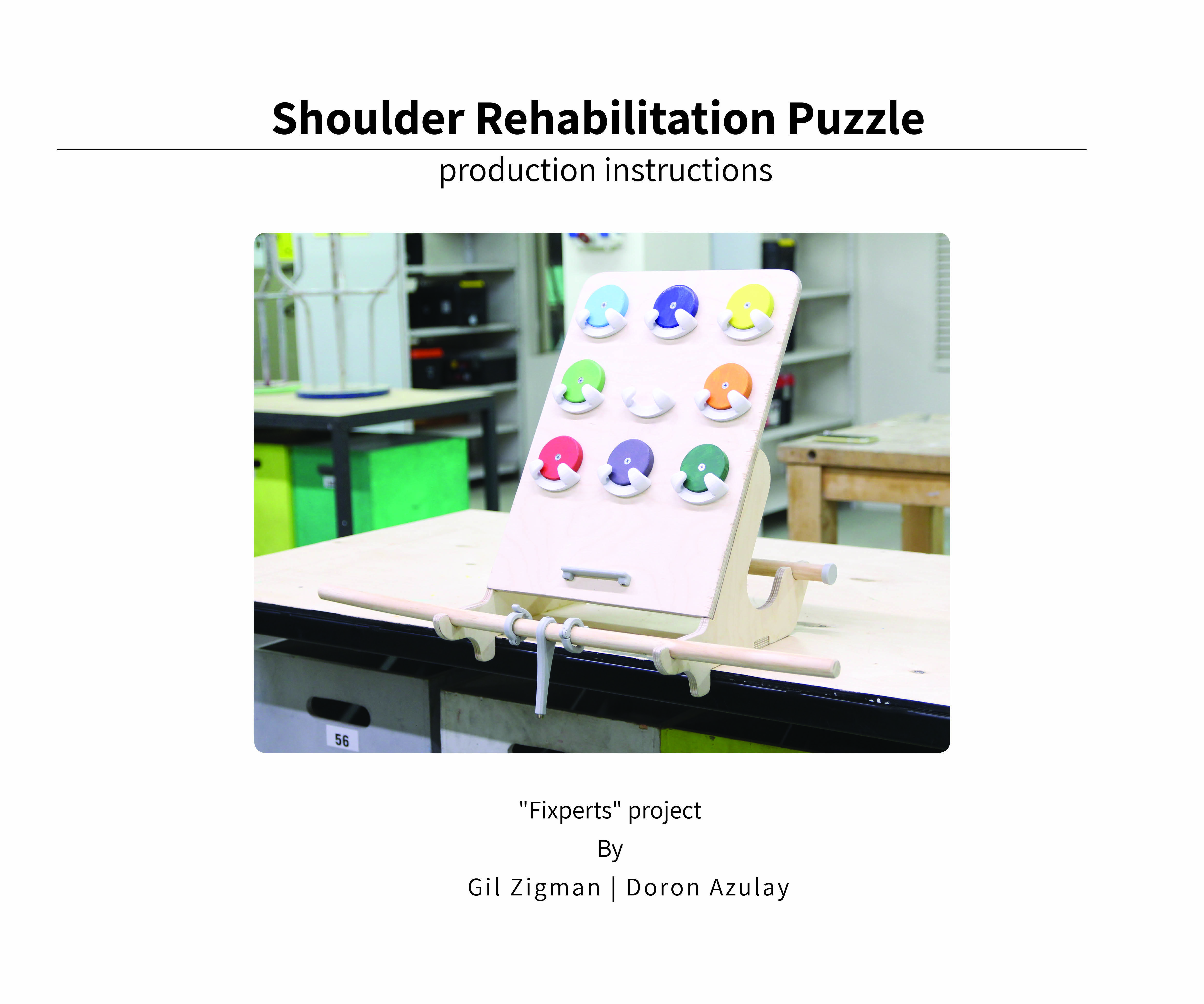 Shoulder Rehabilitation Puzzle