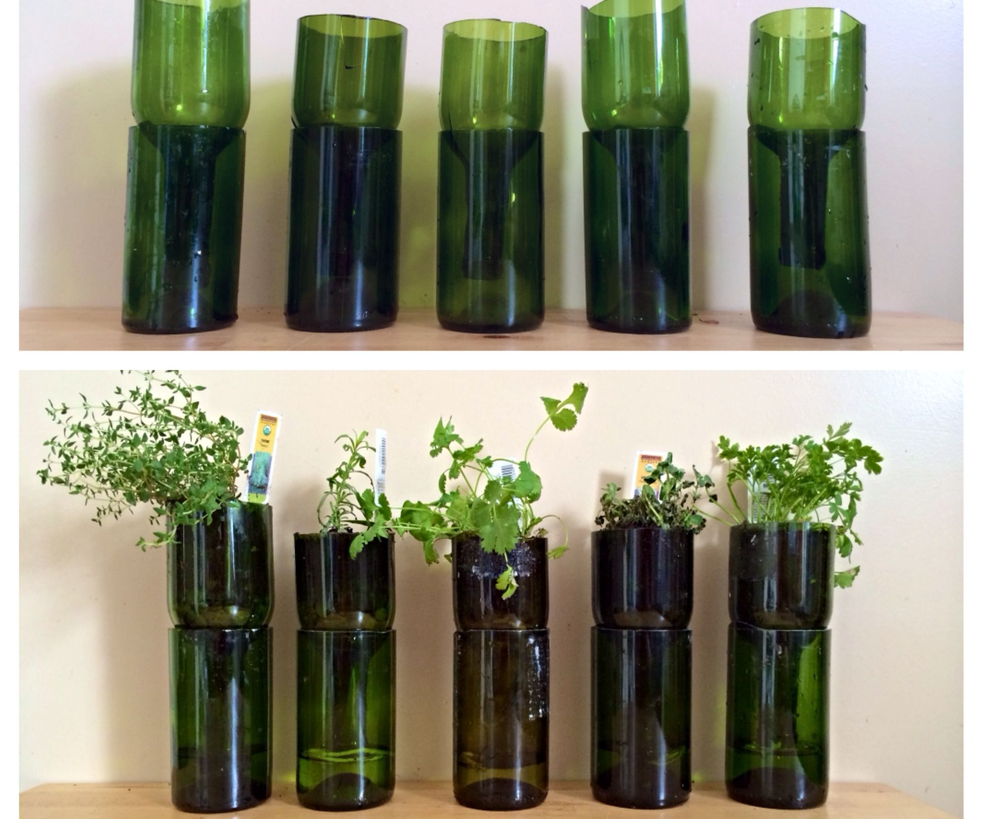 Upcycled Wine Bottles Into Indoor Herb Planters