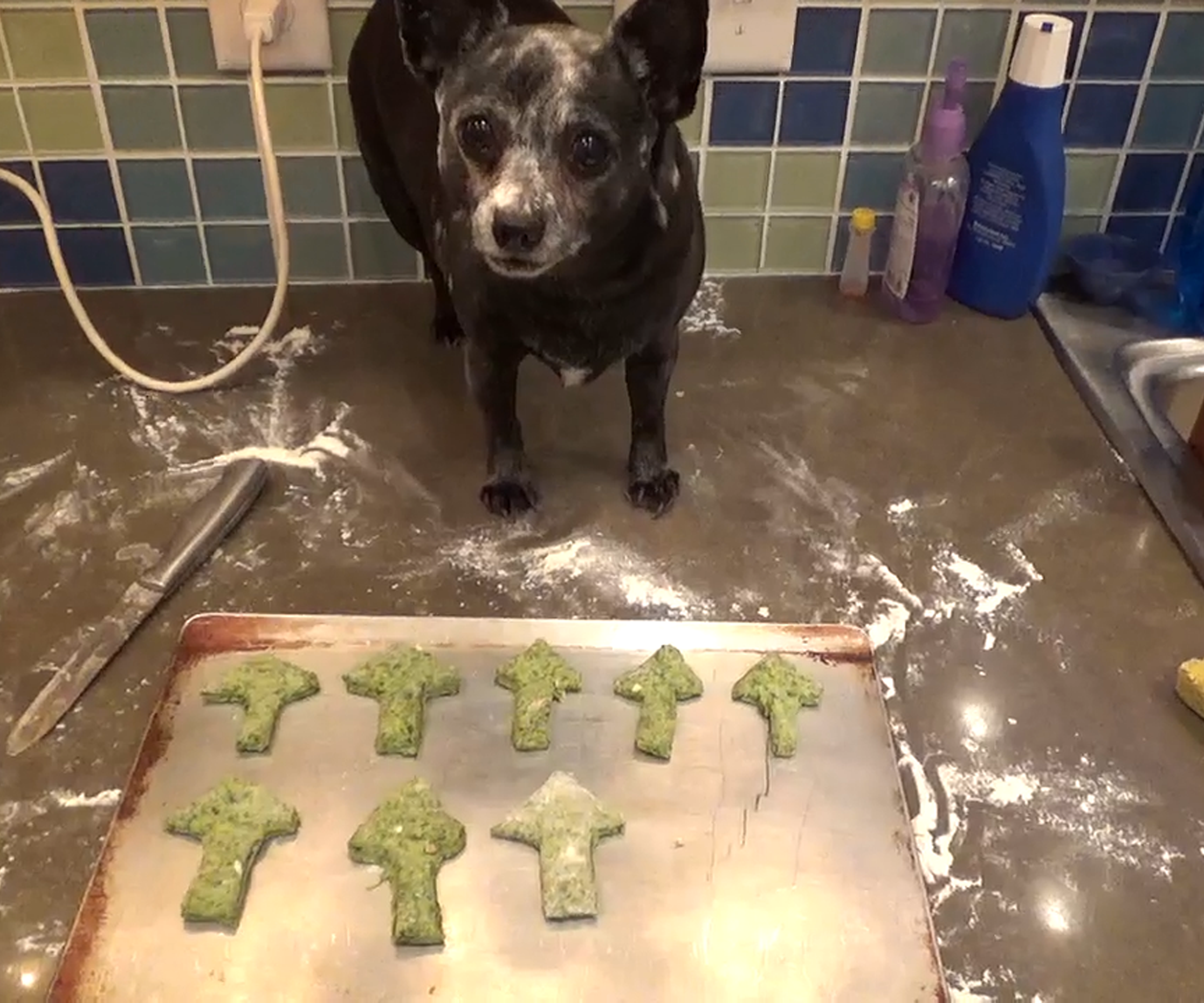 Homemade Spinach Dog Biscuits