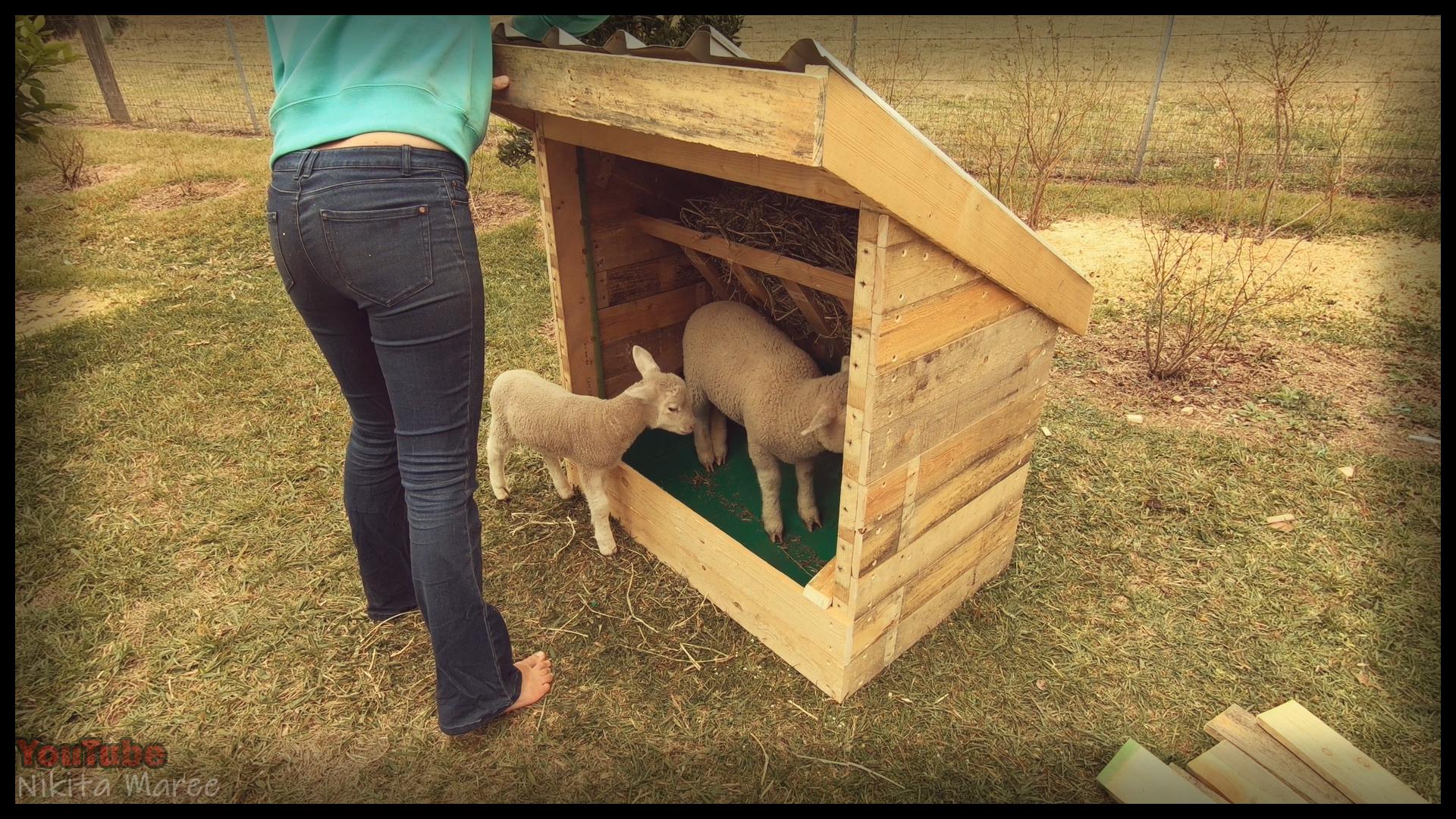 How to build a Livestock feeder DIY building animal trough Step by step instructions farm build with pallet wood (49).jpg