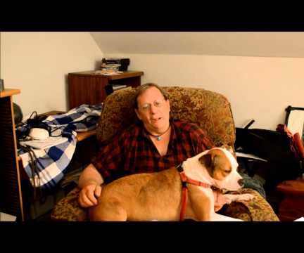 Why Your Dog Acts "Guilty"