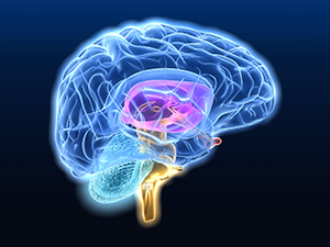 Control Any Gadgets With Your Brain! (Neurofeedback With Arduino Microcontroller)