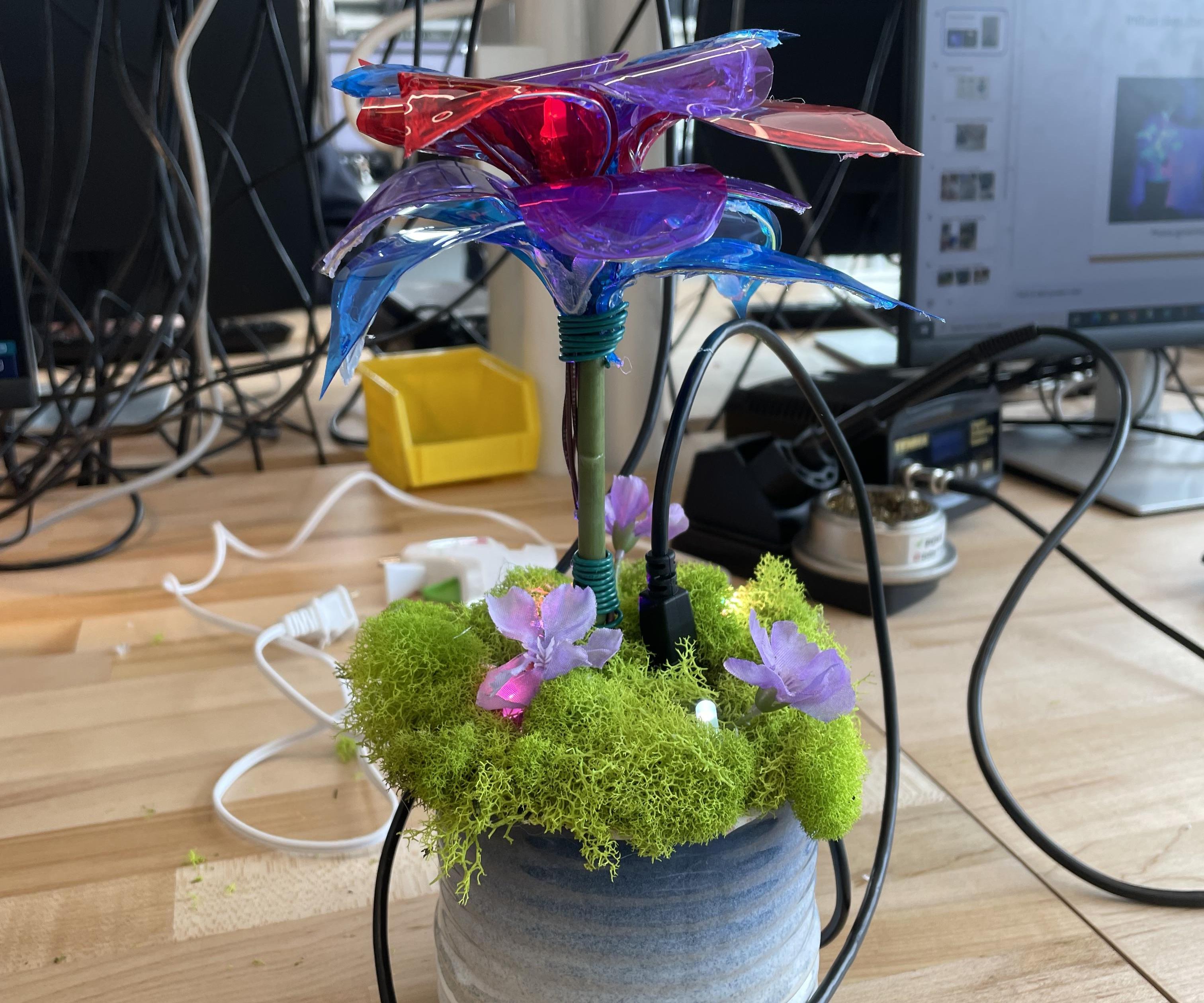 Rotating Flower With Glowing Ambiance