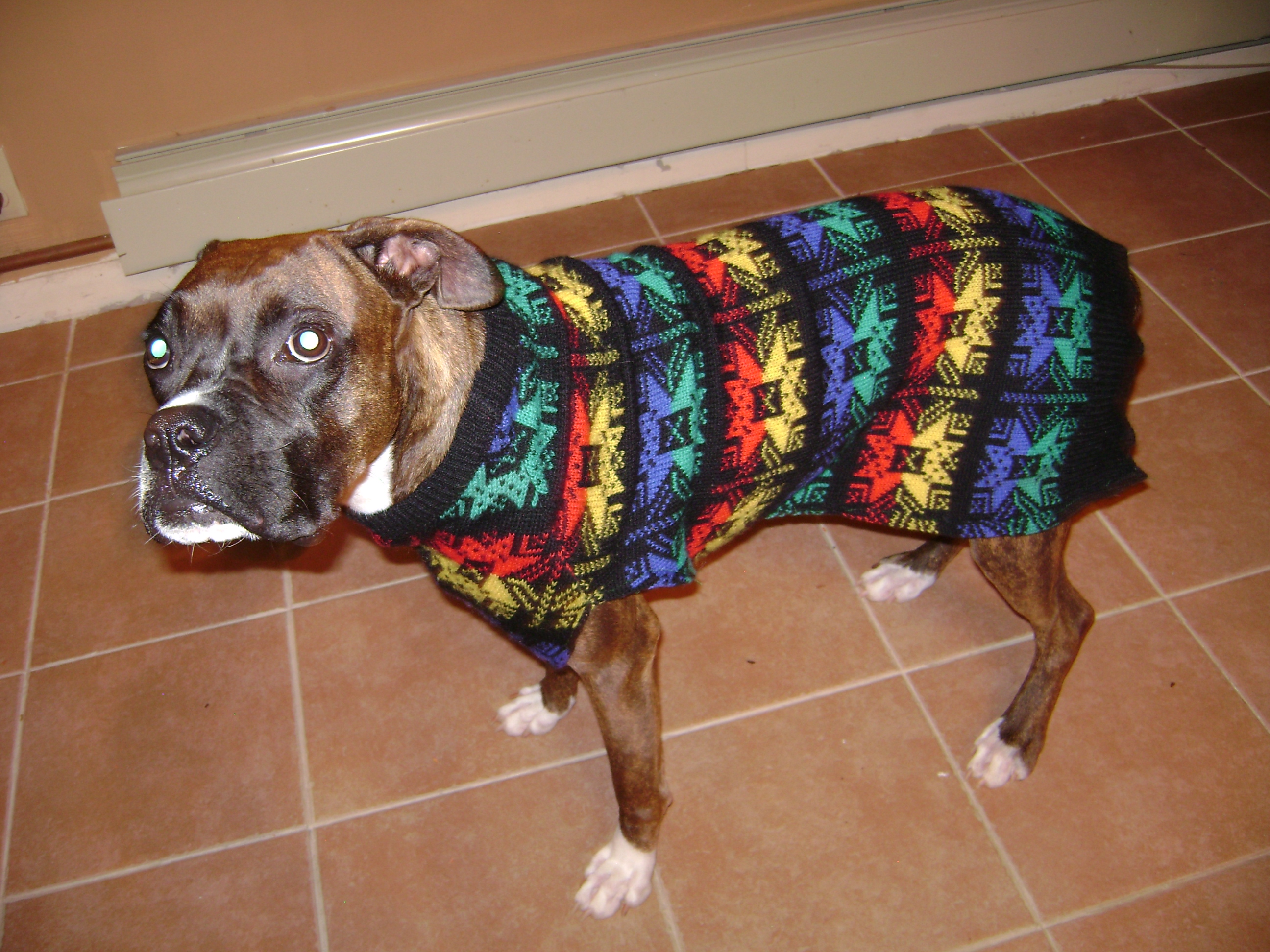  Ugly Dog Sweater