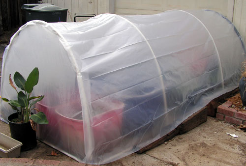 Build an Easy 5 X 5 Home Greenhouse for Under $25