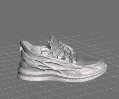 Week 4 Assignment: 3D Scan My Shoe