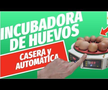 How to Make an EGG INCUBATOR - Full Automatic