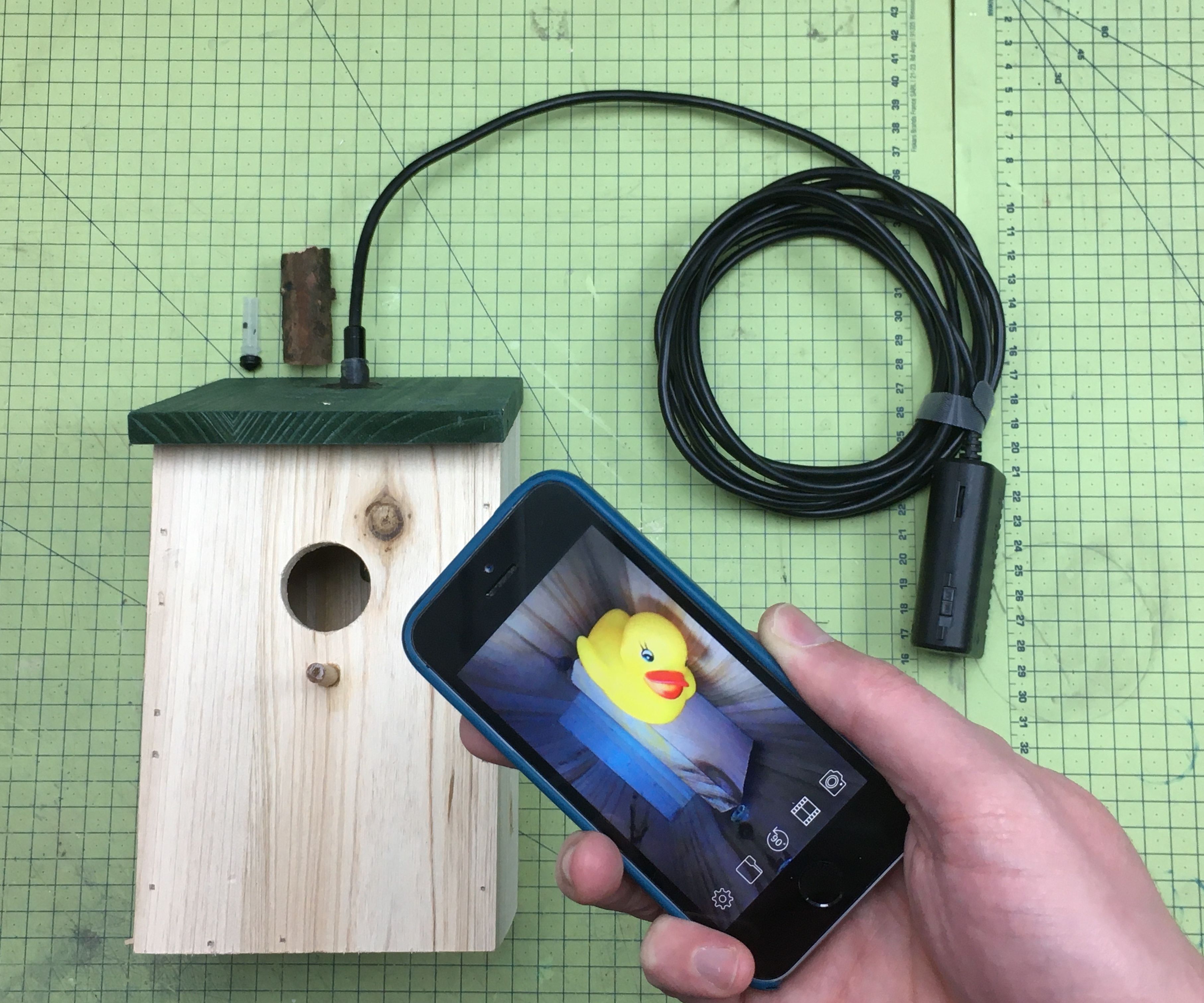 Make a WiFi Camera Bird Box - Cheepy Cheap!