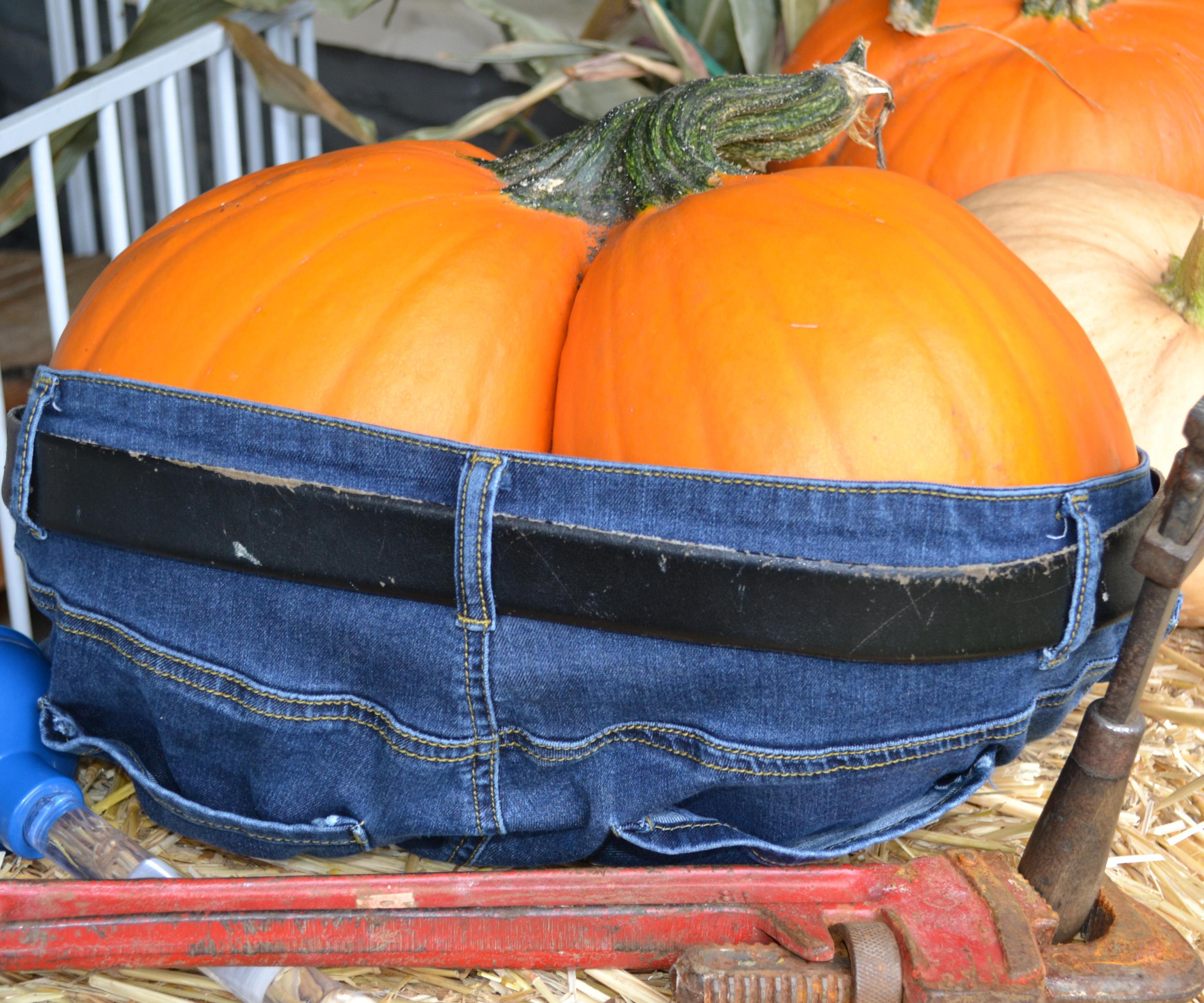 What Does a Rumpkin at Work Look Like?