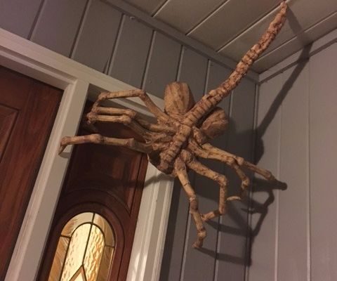 DIY Facehugger Halloween Decoration