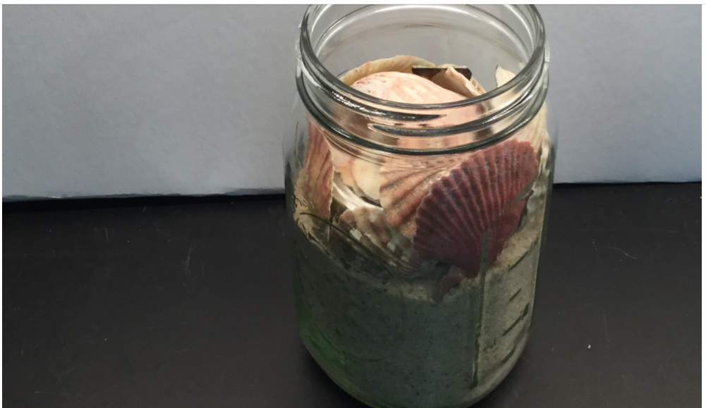 Beach Hidden Jar