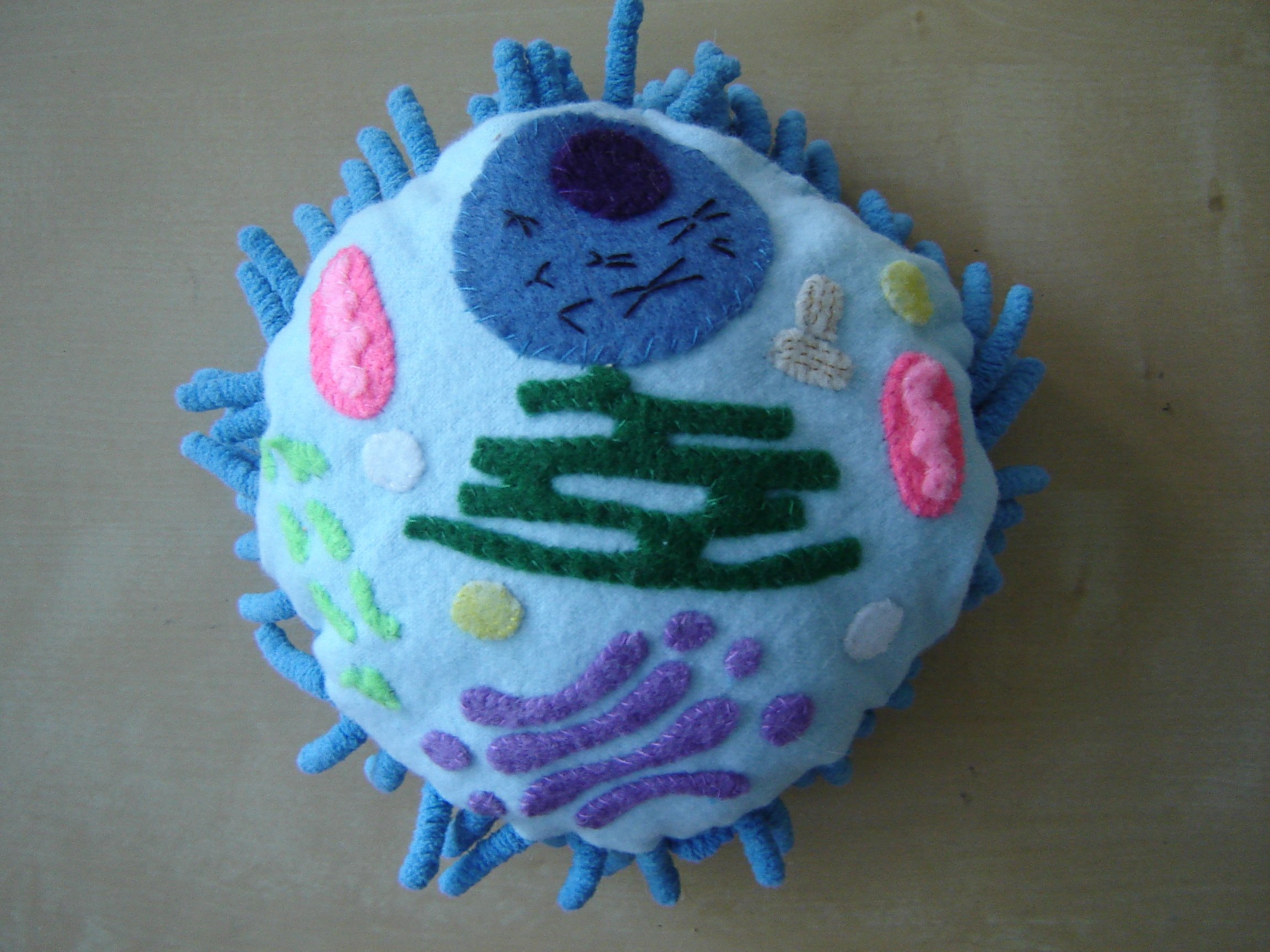 Plush Cell Model