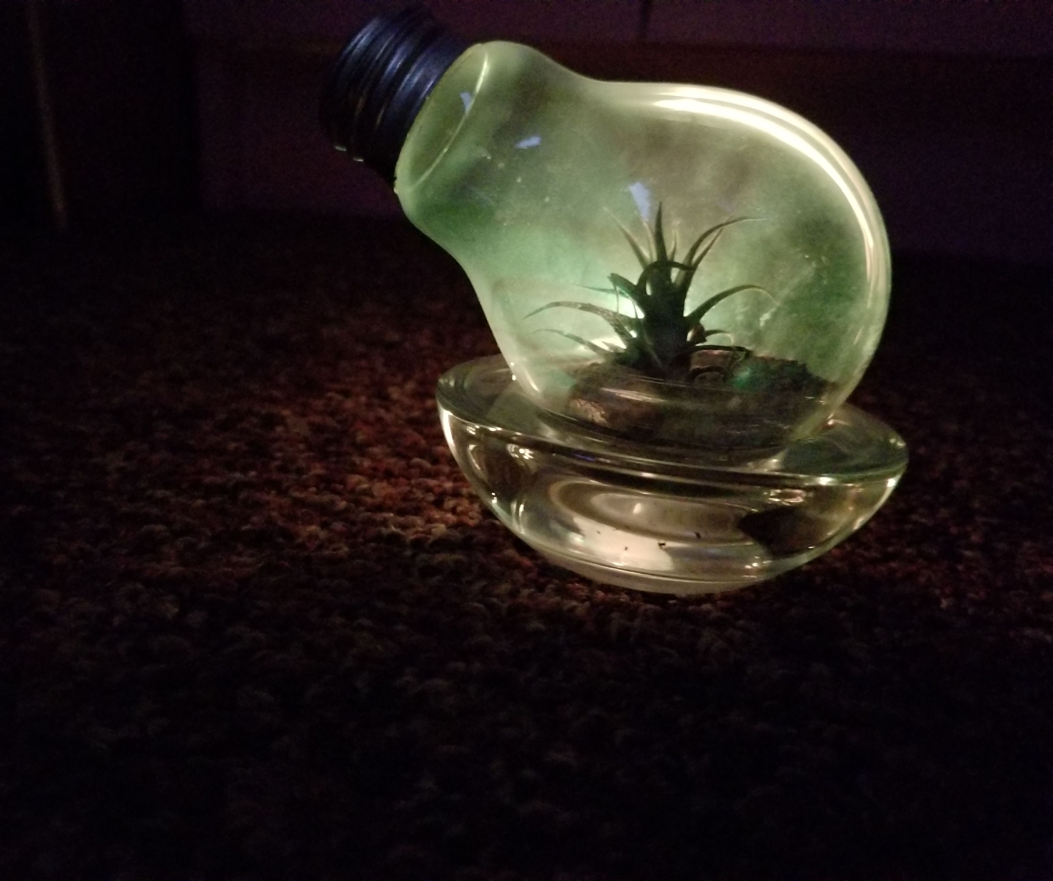 Atrium Made From Light Bulb