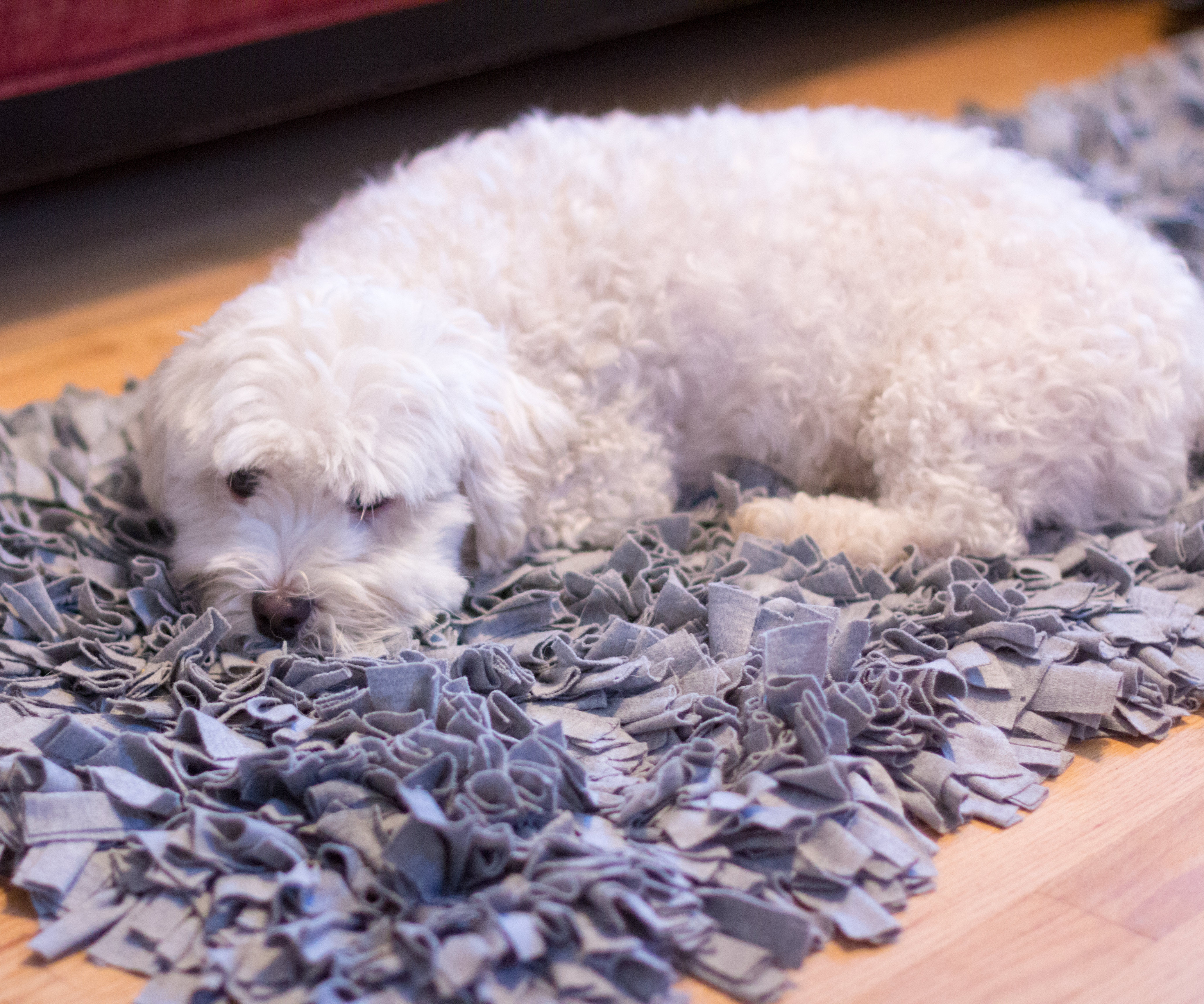 DIY T-Shirt Jersey Shag Rug